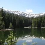 Provensal