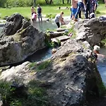 Provensal